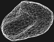 Mesh of a rock