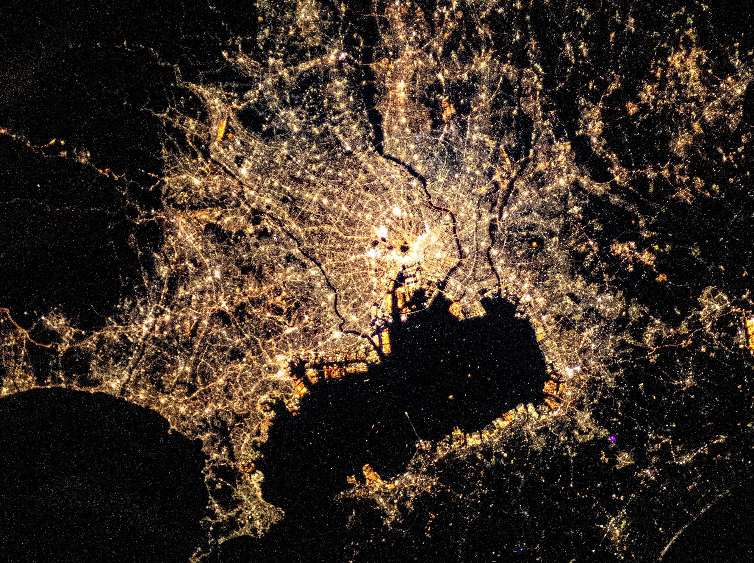 An image of the city of Tokyo at night taken by crew aboard the International Space Station. Scientists have used images such as this one in studies demonstrating the effects of artificial light on urban wildlife and research on the proximity of urban greenspaces to residential areas. Credit: NASA.