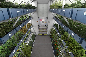Computer generated picture of a greenhouse/garden facility on Mars. Credit: NASA.