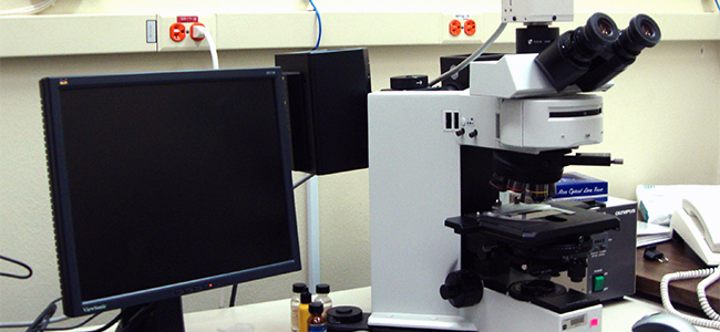 Inside the Optical Microscopy Laboratory: A highly diversed range of reflected 
					and transmission optical microscopes (pictured) with high resolution digital imaging 
					capabilities are used for petrographic characterization of lunar and meteorite samples.
