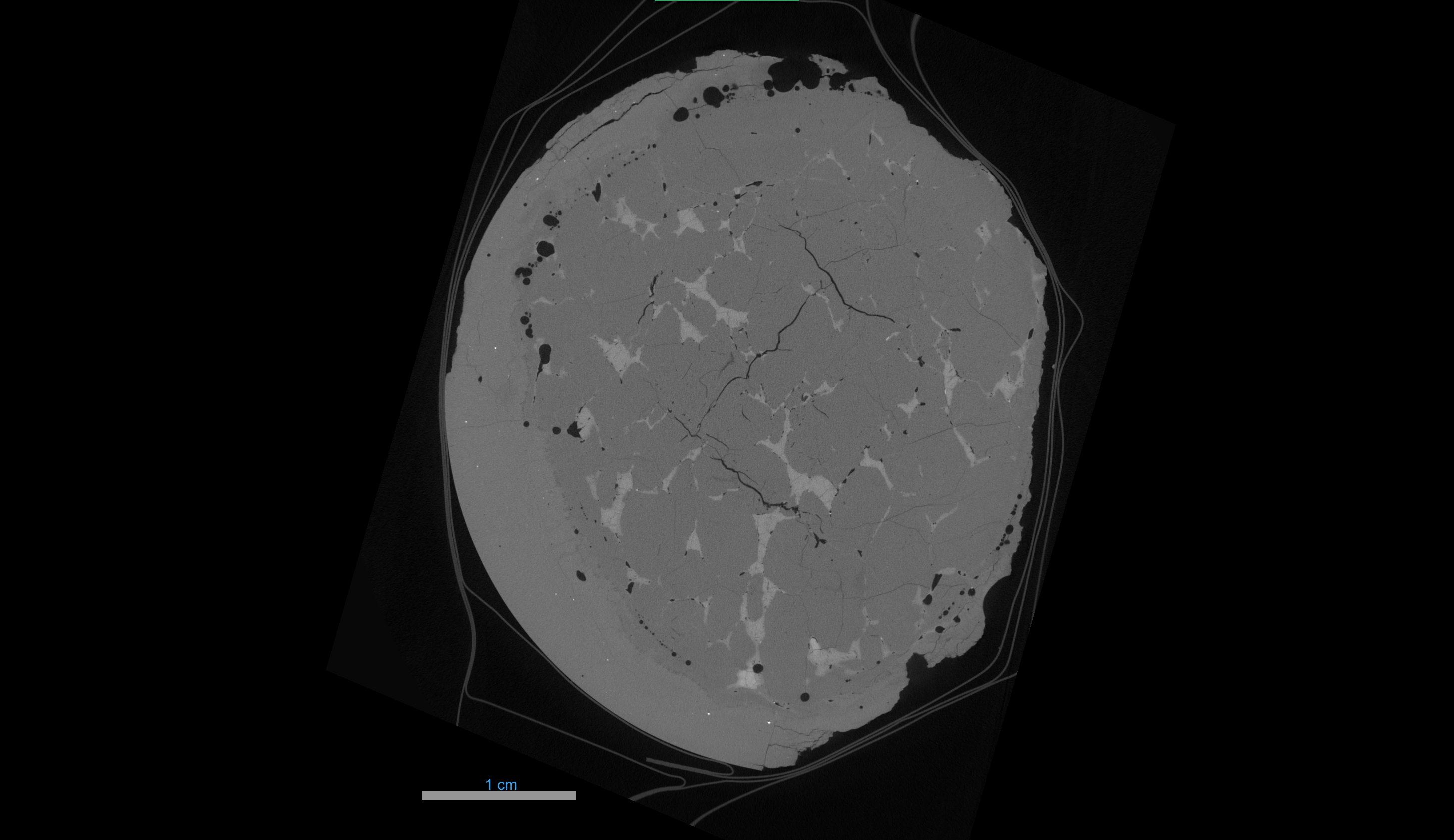 Fig2_60135_XCT_Slice