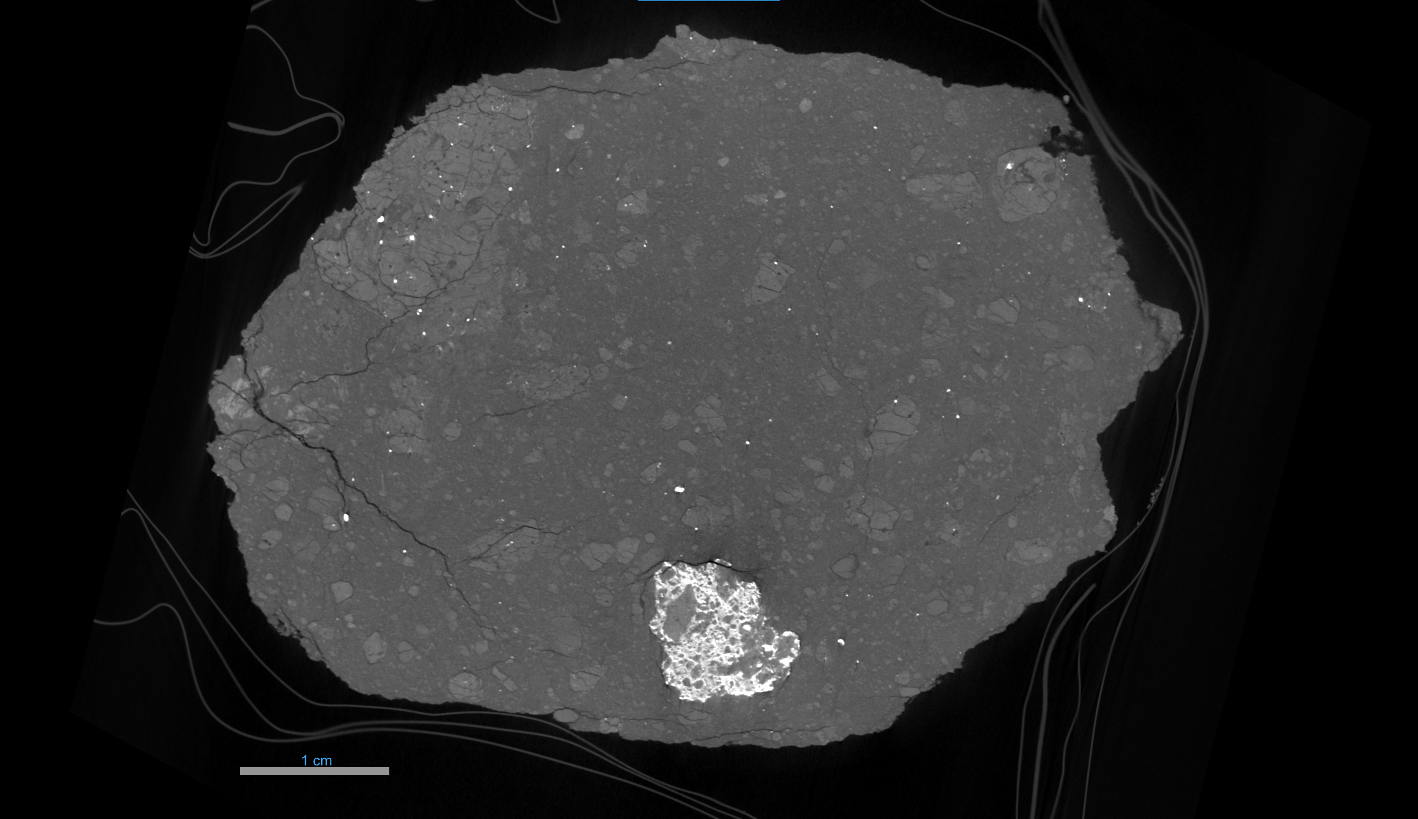 Fig3_66035_XCT_Slice