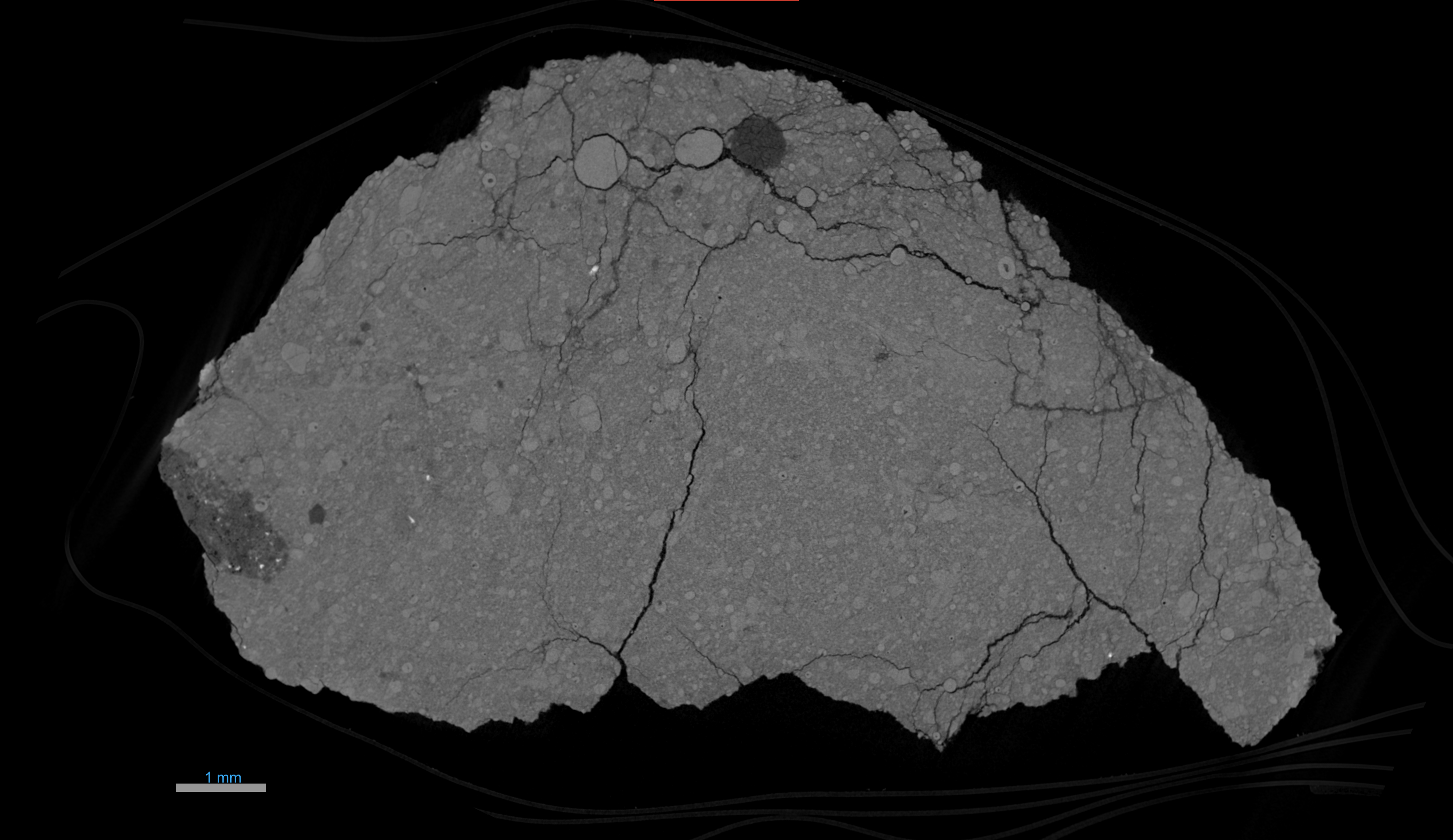 Fig4_70175_XCT_Slice