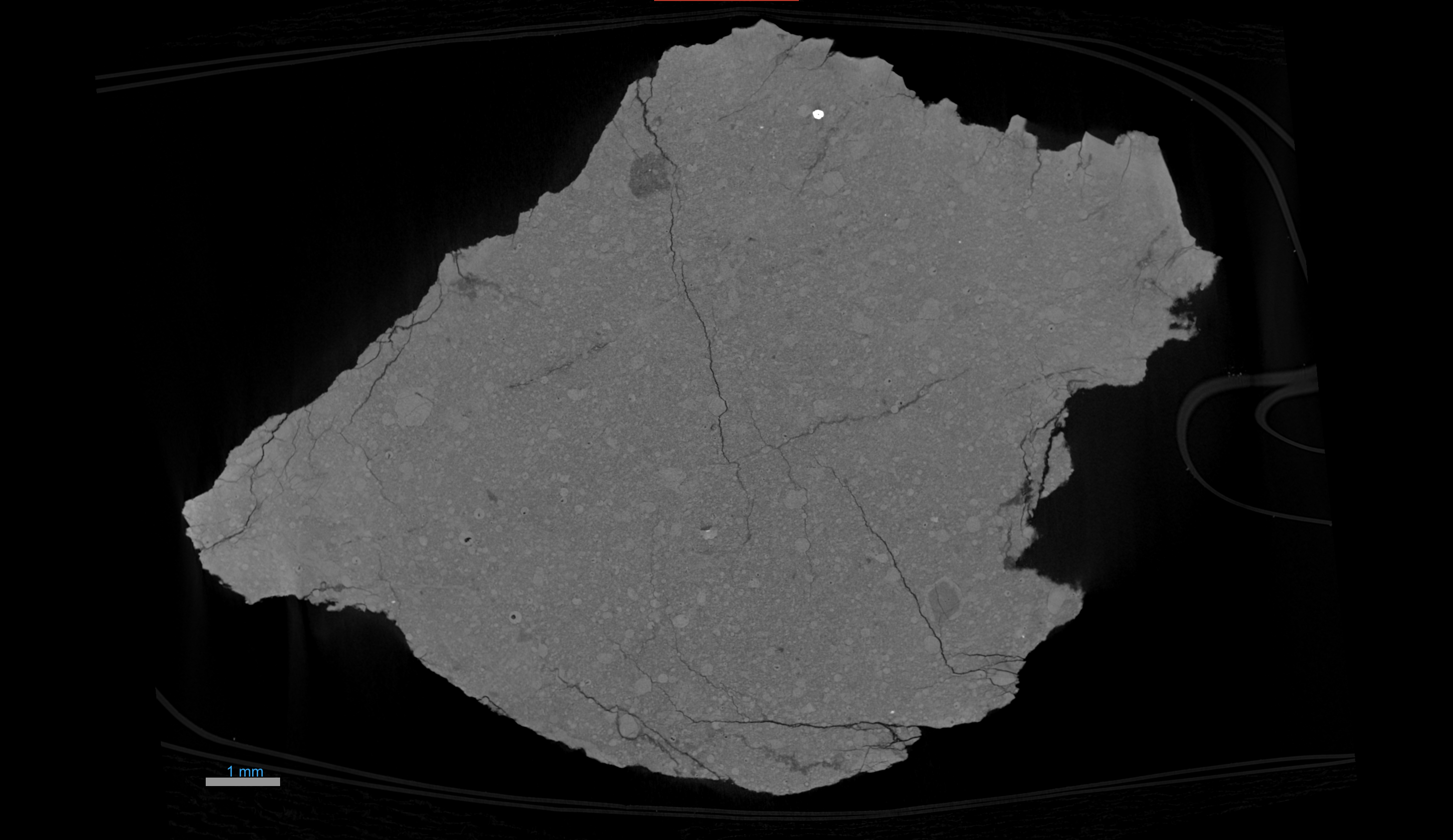Fig2_60135_XCT_Slice