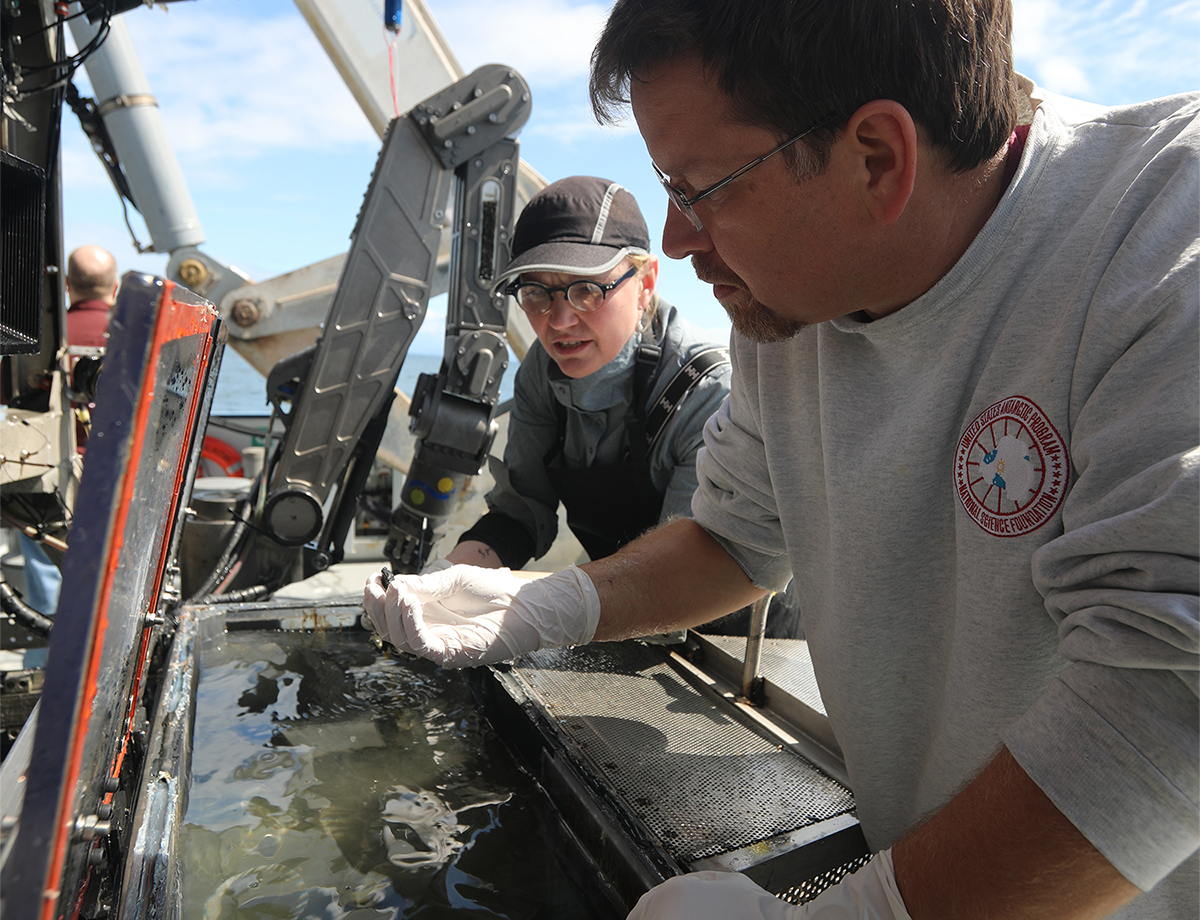 Dr. Betsy Pugel and Dr. Marc Fries discuss which samples will be set aside for further study.